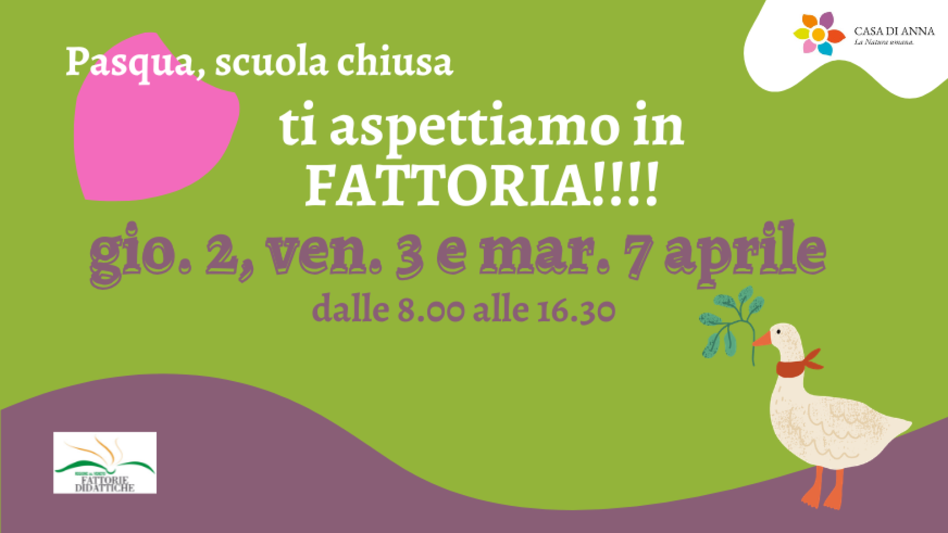 Copia di REFERENDUM marzo 2026 copertina