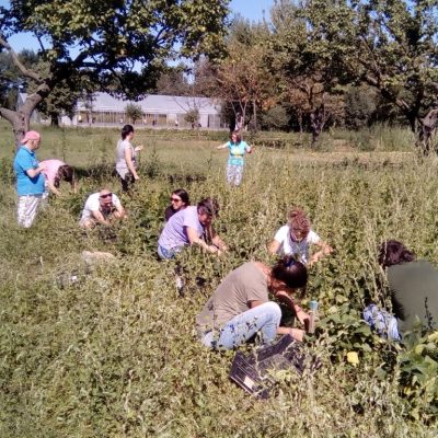 casa-di-anna-fattoria-sociale-gallery-5