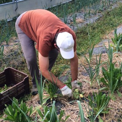 casa-di-anna-fattoria-sociale-gallery-9